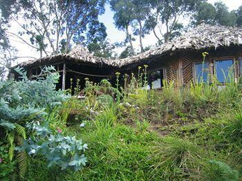 Mount Kilimanjaro View Lodge Moshi Exterior foto