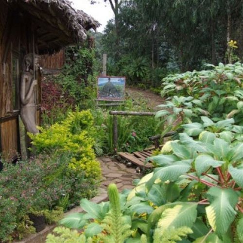 Mount Kilimanjaro View Lodge Moshi Exterior foto