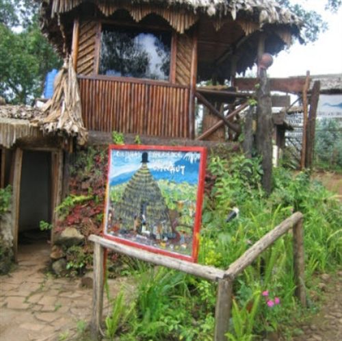 Mount Kilimanjaro View Lodge Moshi Exterior foto